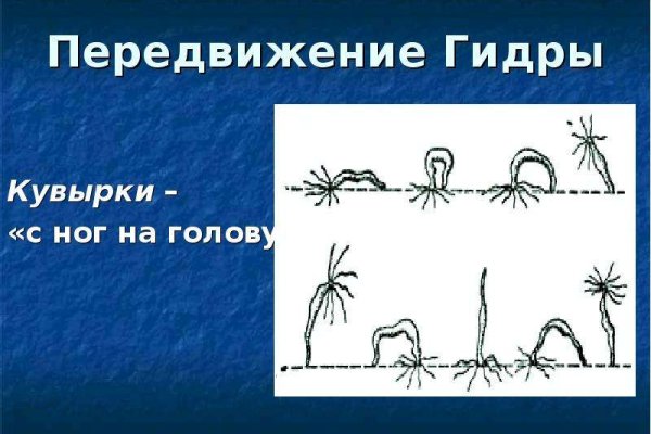 Kraken как найти ссылку