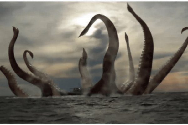 Kraken url