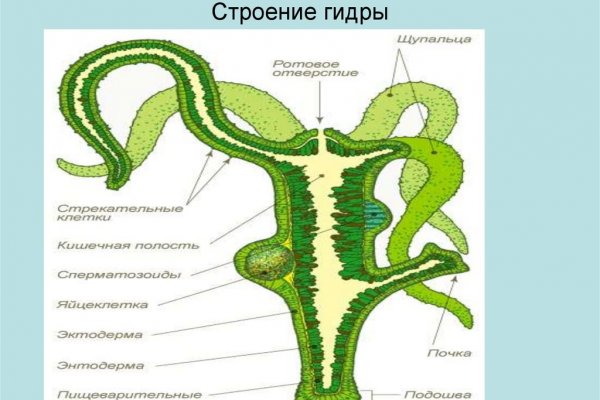 Кракен это современный даркнет маркет